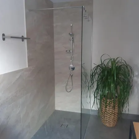 Apartment Widmann *